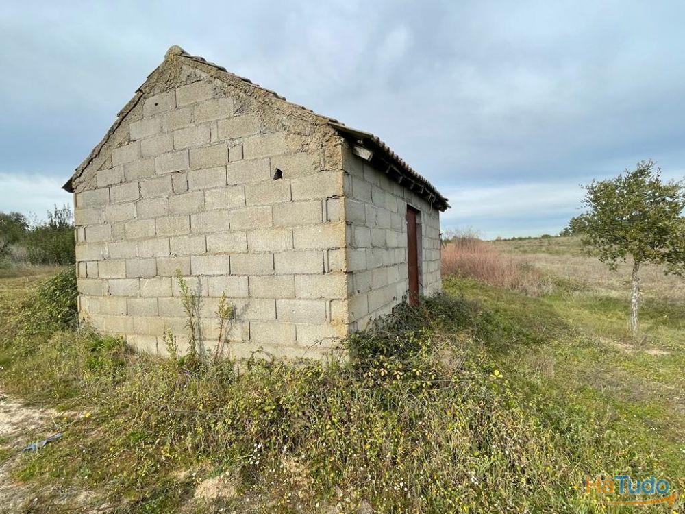 Quinta com cerca de 1,4 Ha Quinta com cerca de 1,4 Ha