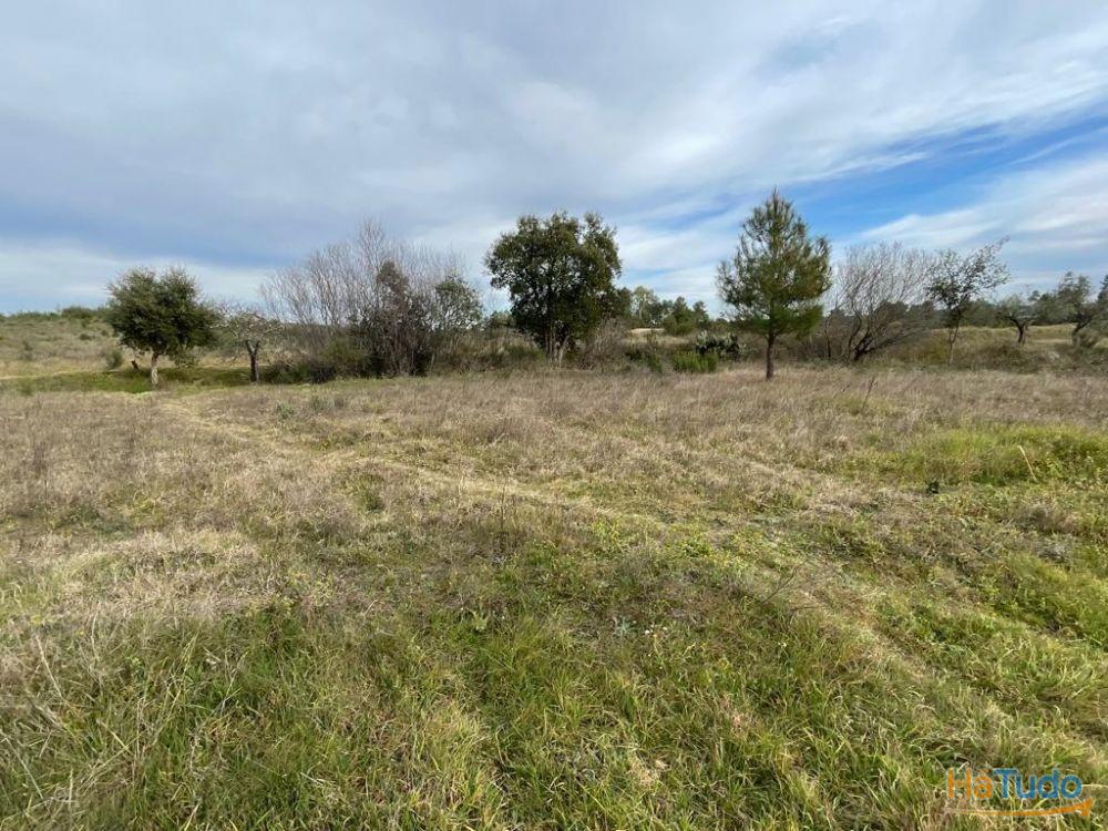 Quinta com cerca de 1,4 Ha Quinta com cerca de 1,4 Ha
