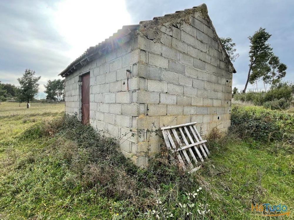 Quinta com cerca de 1,4 Ha Quinta com cerca de 1,4 Ha
