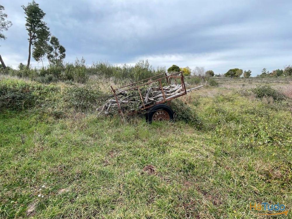 Quinta com cerca de 1,4 Ha Quinta com cerca de 1,4 Ha