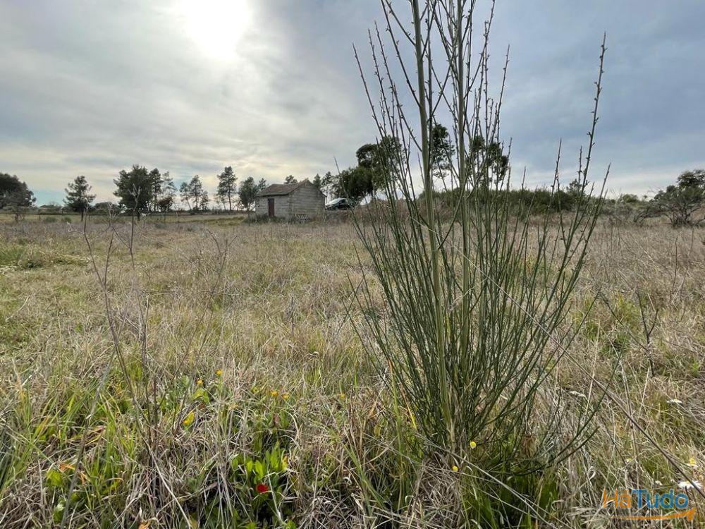 Quinta com cerca de 1,4 Ha Quinta com cerca de 1,4 Ha