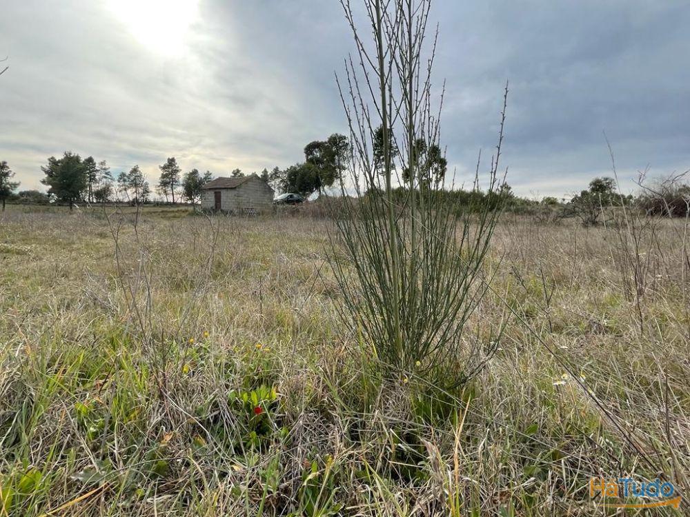 Quinta com cerca de 1,4 Ha Quinta com cerca de 1,4 Ha