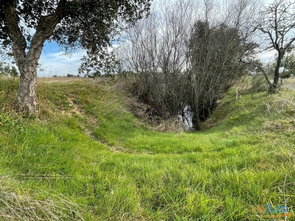 Quinta com cerca de 1,4 Ha Quinta com cerca de 1,4 Ha