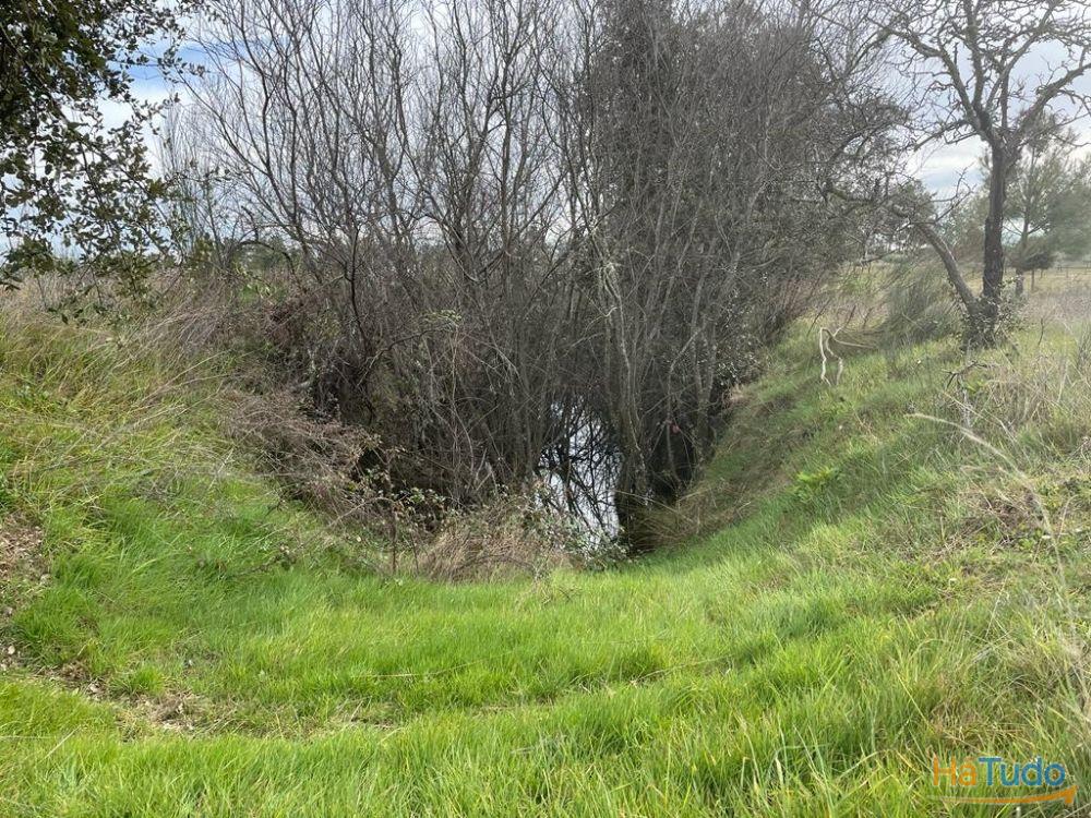 Quinta com cerca de 1,4 Ha Quinta com cerca de 1,4 Ha