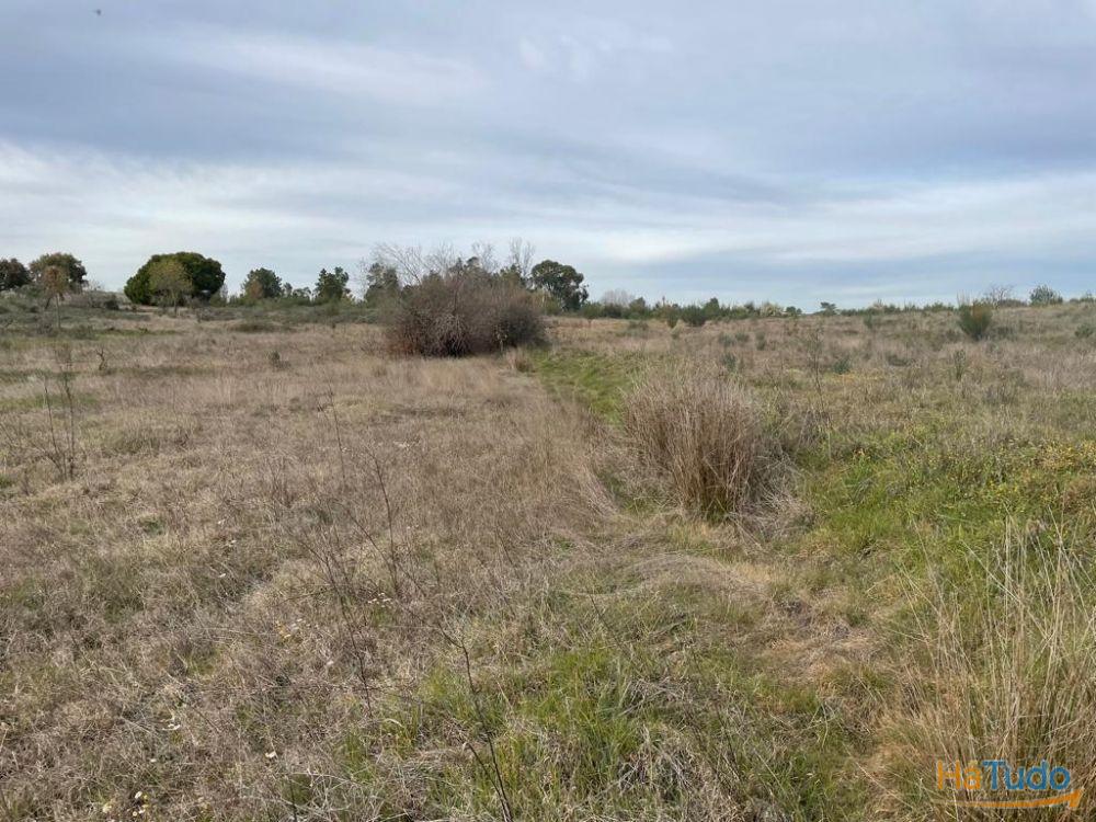 Quinta com cerca de 1,4 Ha Quinta com cerca de 1,4 Ha