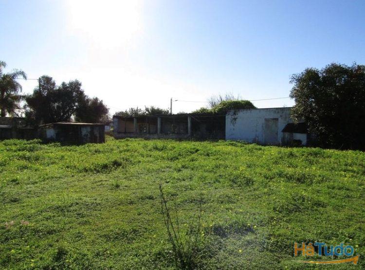 Terreno Rústico Venda em Pechão,Olhão Terreno Rústico Venda em Pechão,Olhão
