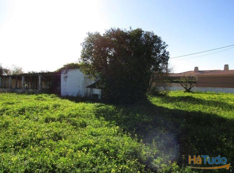 Terreno Rústico Venda em Pechão,Olhão Terreno Rústico Venda em Pechão,Olhão