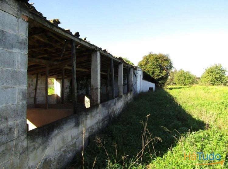Terreno Rústico Venda em Pechão,Olhão Terreno Rústico Venda em Pechão,Olhão