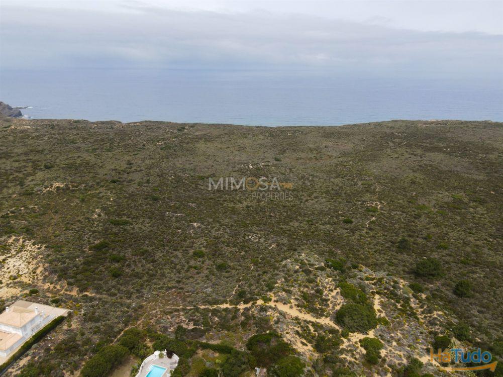 Terreno Urbano no Espartal e a poucos minutos da Praia Terreno Urbano no Espartal e a poucos minutos da Praia