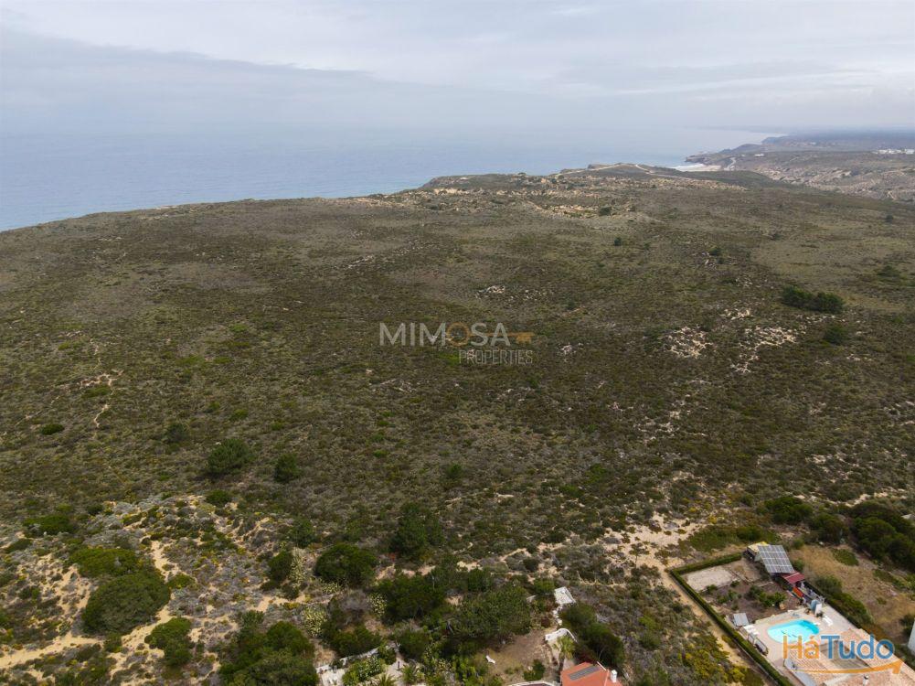 Terreno Urbano no Espartal e a poucos minutos da Praia Terreno Urbano no Espartal e a poucos minutos da Praia