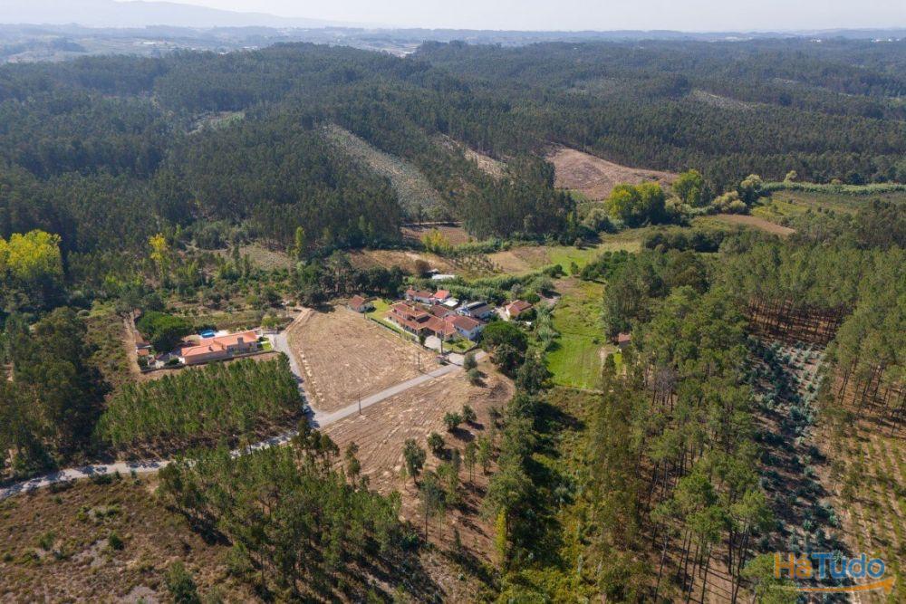 Terreno construção com mais de 4 000 metros quadrados a 15 minutos de Leiria Terreno construção com mais de 4 000 metros quadrados a 15 minutos de Leiria