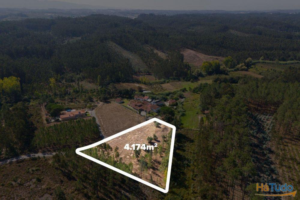 Terreno construção com mais de 4 000 metros quadrados a 15 minutos de Leiria Terreno construção com mais de 4 000 metros quadrados a 15 minutos de Leiria