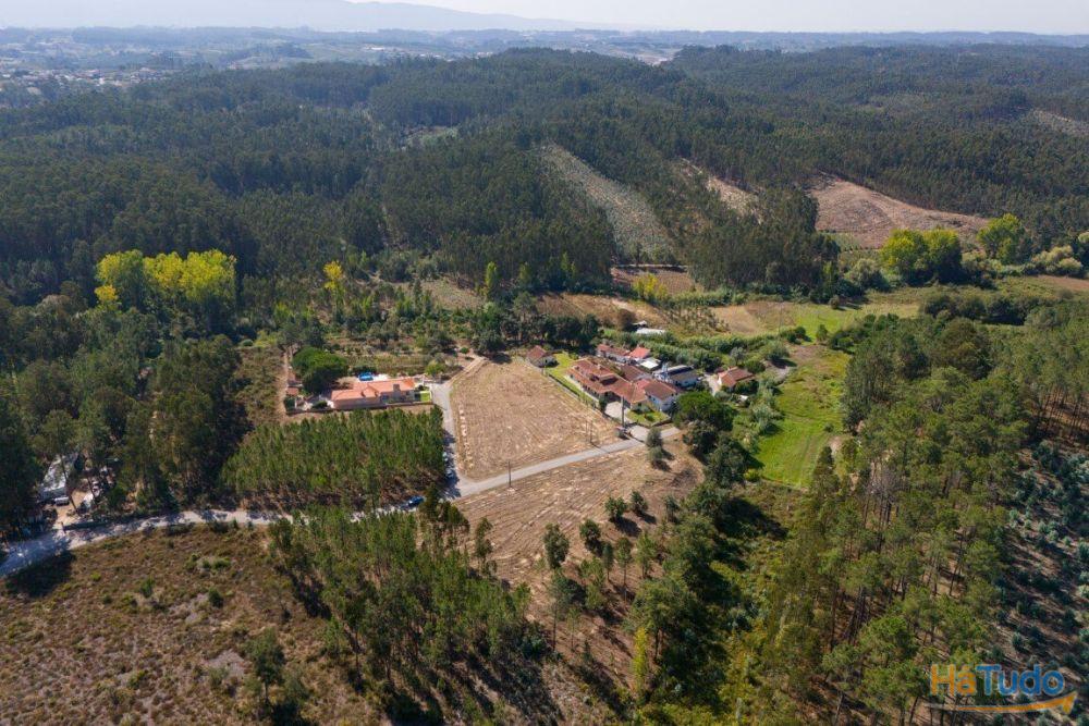 Terreno construção com mais de 4 000 metros quadrados a 15 minutos de Leiria Terreno construção com mais de 4 000 metros quadrados a 15 minutos de Leiria