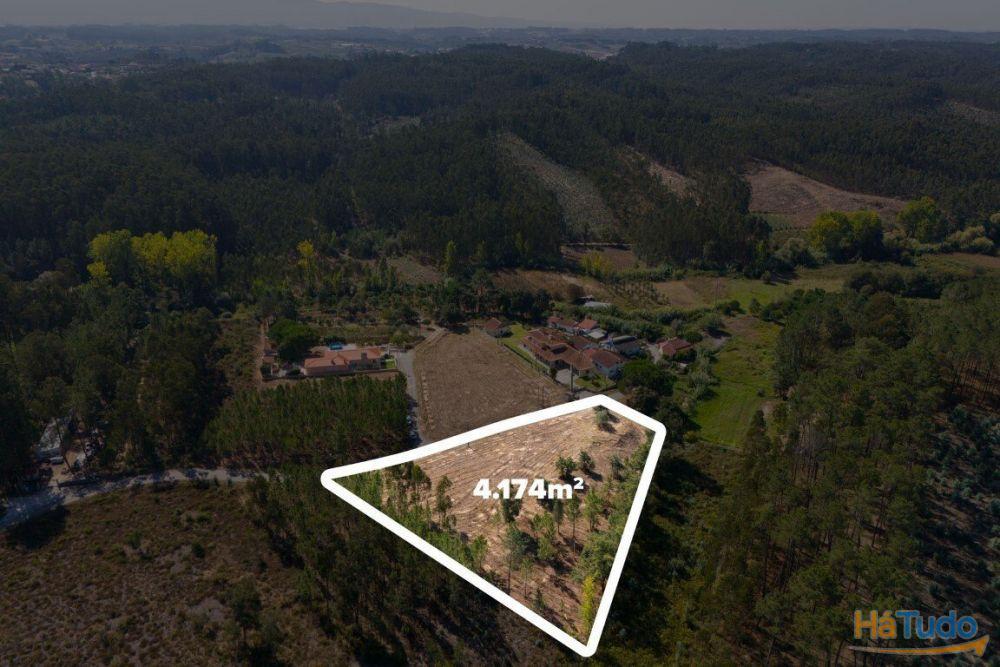 Terreno construção com mais de 4 000 metros quadrados a 15 minutos de Leiria Terreno construção com mais de 4 000 metros quadrados a 15 minutos de Leiria