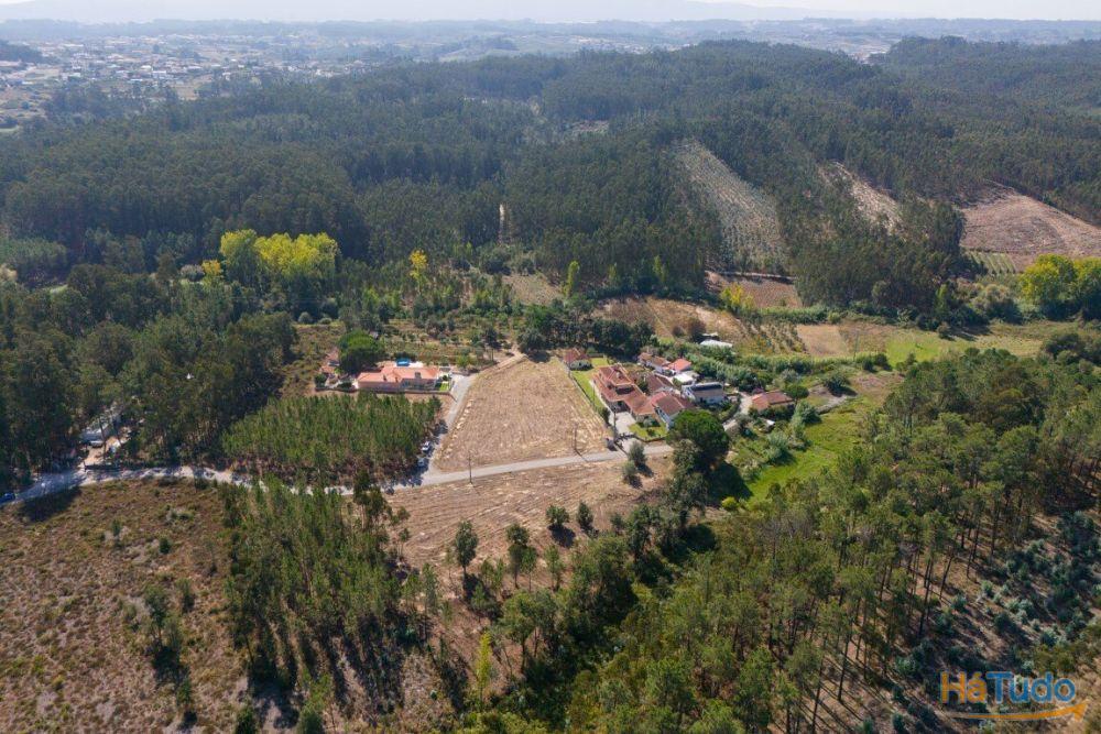 Terreno construção com mais de 4 000 metros quadrados a 15 minutos de Leiria Terreno construção com mais de 4 000 metros quadrados a 15 minutos de Leiria