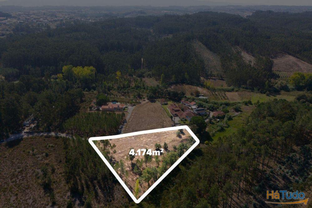 Terreno construção com mais de 4 000 metros quadrados a 15 minutos de Leiria Terreno construção com mais de 4 000 metros quadrados a 15 minutos de Leiria
