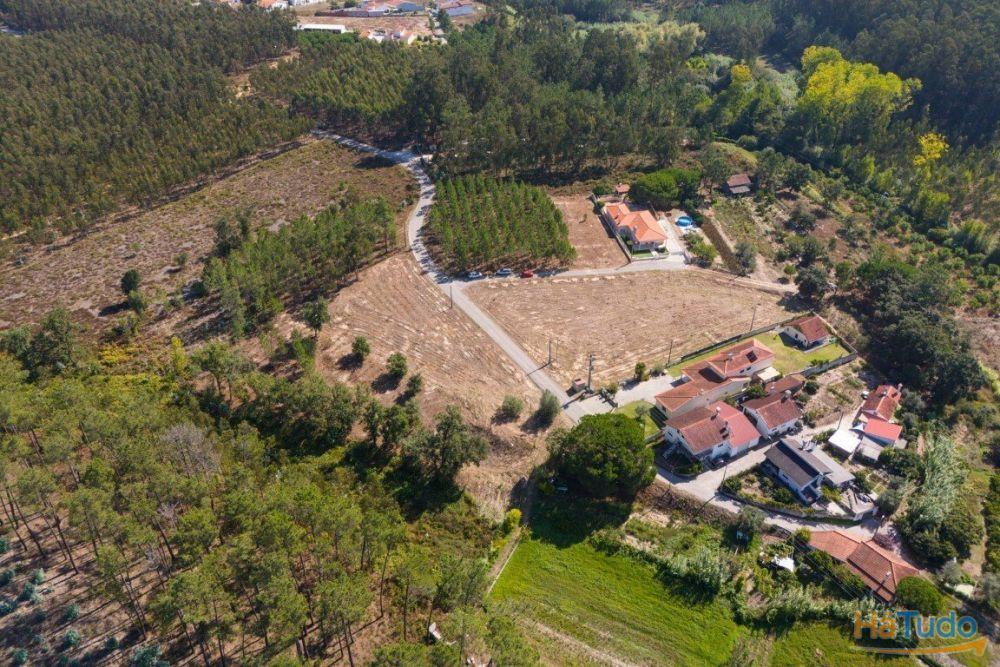 Terreno construção com mais de 4 000 metros quadrados a 15 minutos de Leiria Terreno construção com mais de 4 000 metros quadrados a 15 minutos de Leiria