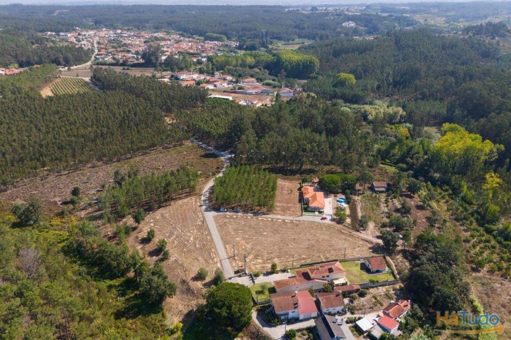 Terreno construção com mais de 4 000 metros quadrados a 15 minutos de Leiria Terreno construção com mais de 4 000 metros quadrados a 15 minutos de Leiria