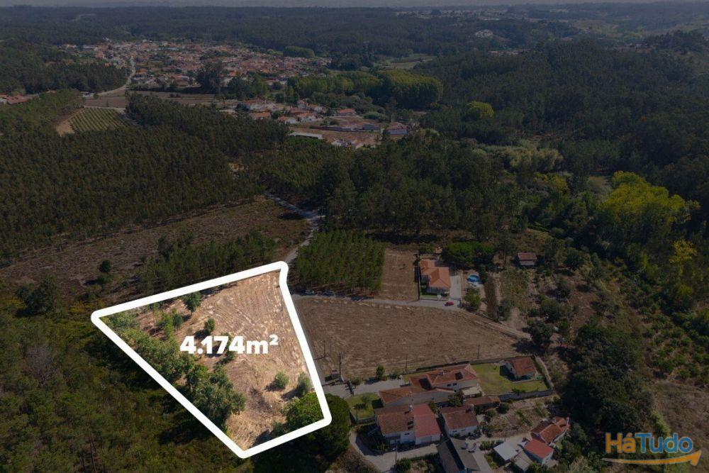 Terreno construção com mais de 4 000 metros quadrados a 15 minutos de Leiria Terreno construção com mais de 4 000 metros quadrados a 15 minutos de Leiria