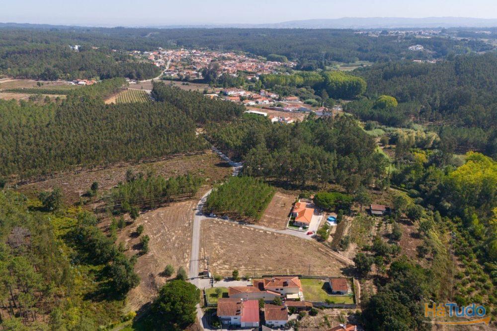 Terreno construção com mais de 4 000 metros quadrados a 15 minutos de Leiria Terreno construção com mais de 4 000 metros quadrados a 15 minutos de Leiria