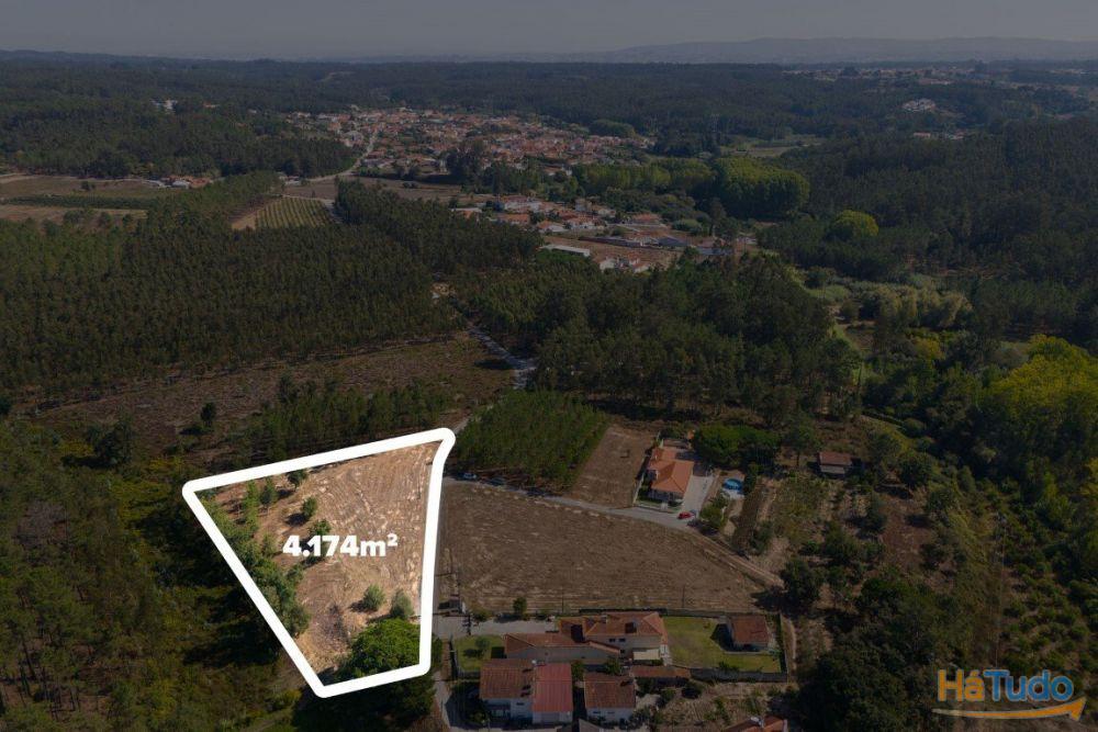 Terreno construção com mais de 4 000 metros quadrados a 15 minutos de Leiria Terreno construção com mais de 4 000 metros quadrados a 15 minutos de Leiria