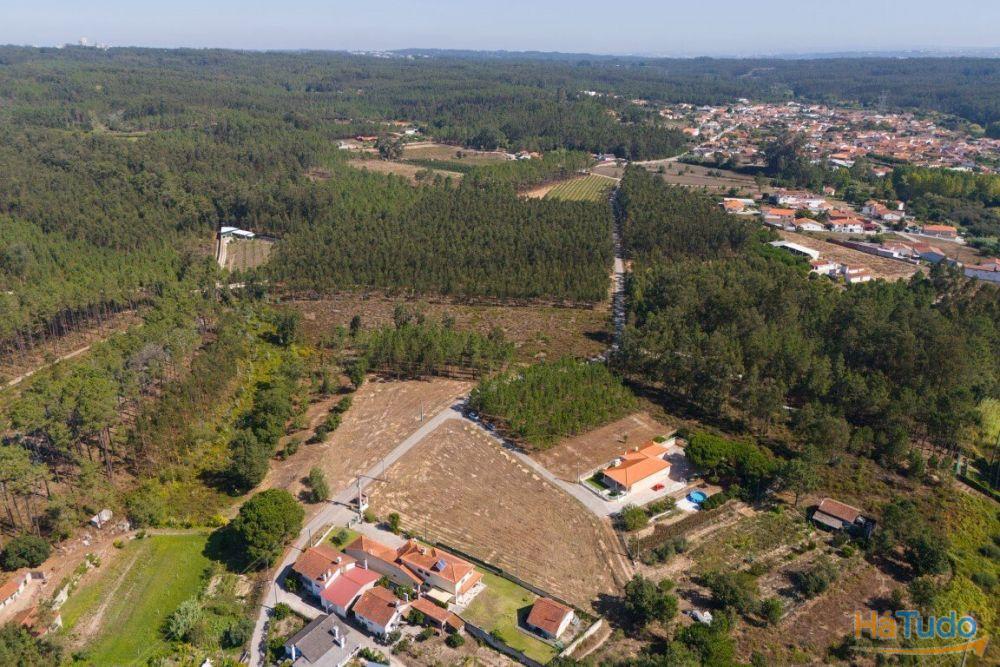 Terreno construção com mais de 4 000 metros quadrados a 15 minutos de Leiria Terreno construção com mais de 4 000 metros quadrados a 15 minutos de Leiria