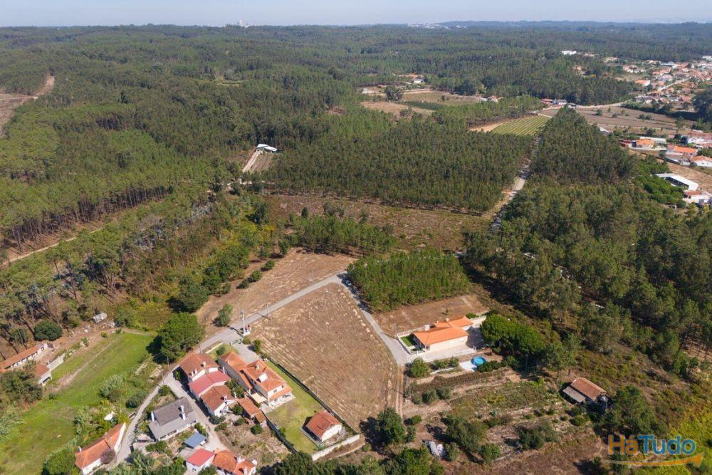 Terreno construção com mais de 4 000 metros quadrados a 15 minutos de Leiria Terreno construção com mais de 4 000 metros quadrados a 15 minutos de Leiria