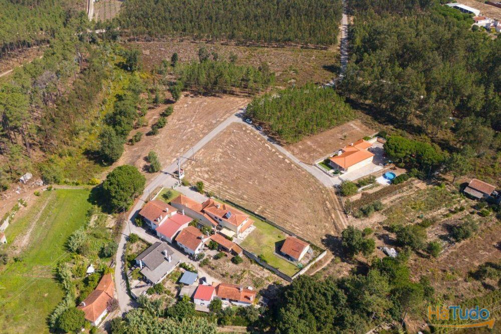 Terreno construção com mais de 4 000 metros quadrados a 15 minutos de Leiria Terreno construção com mais de 4 000 metros quadrados a 15 minutos de Leiria