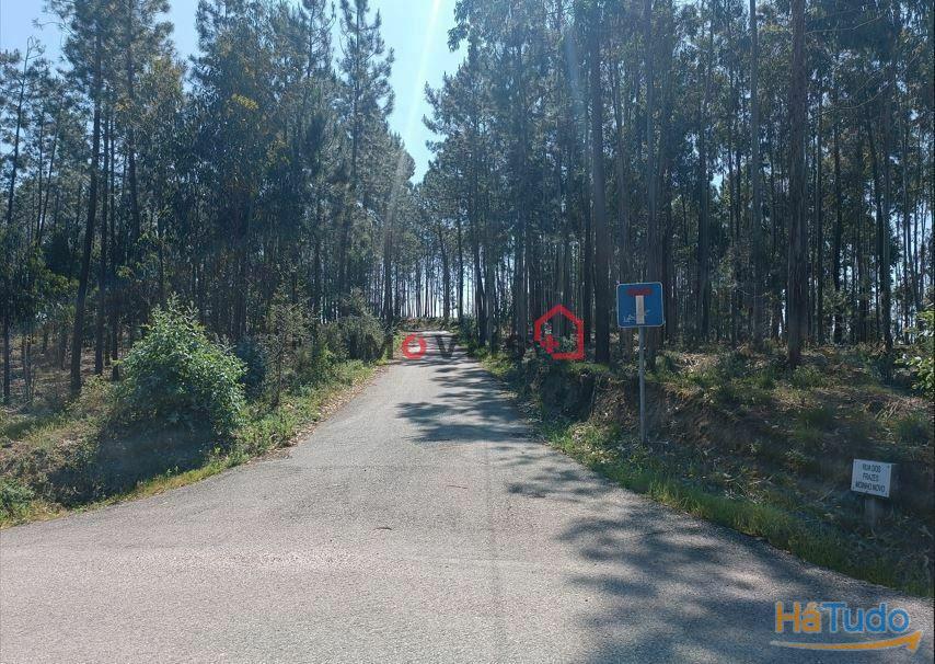 Terreno para construção | Moinho Novo - Leiria Terreno para construção | Moinho Novo - Leiria
