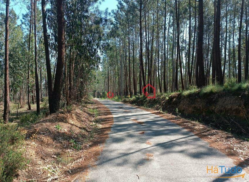 Terreno para construção | Moinho Novo - Leiria Terreno para construção | Moinho Novo - Leiria