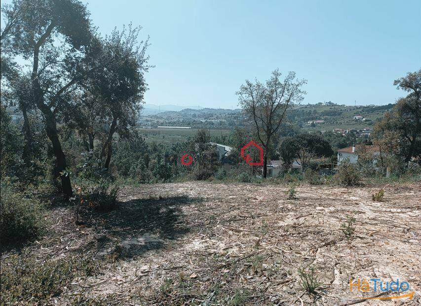 Terreno para construção | Moinho Novo - Leiria Terreno para construção | Moinho Novo - Leiria