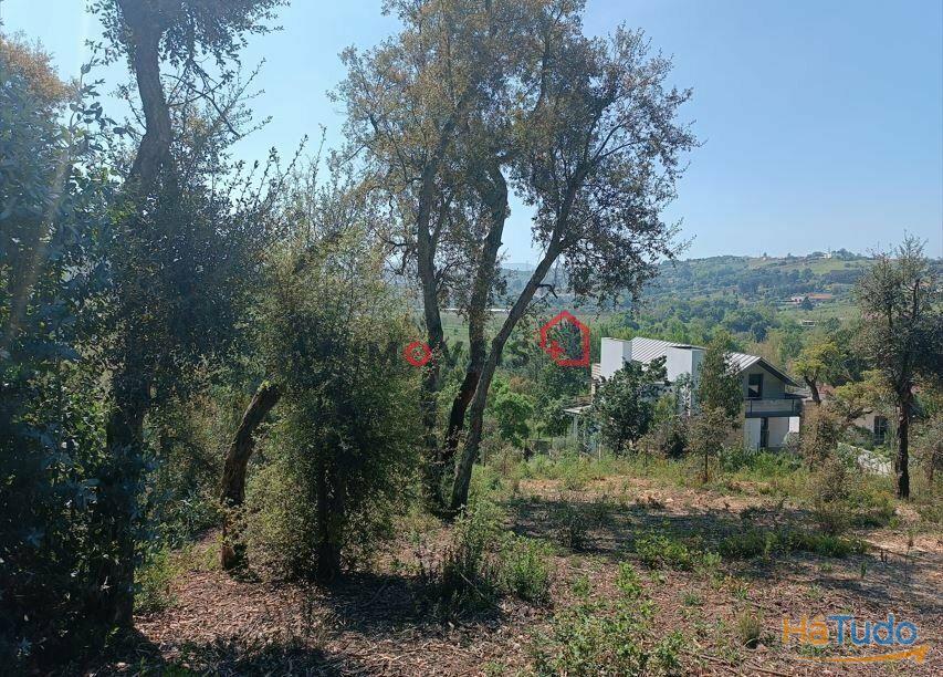 Terreno para construção | Moinho Novo - Leiria Terreno para construção | Moinho Novo - Leiria