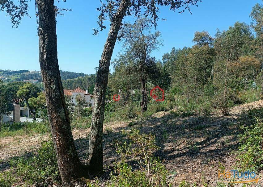Terreno para construção | Moinho Novo - Leiria Terreno para construção | Moinho Novo - Leiria