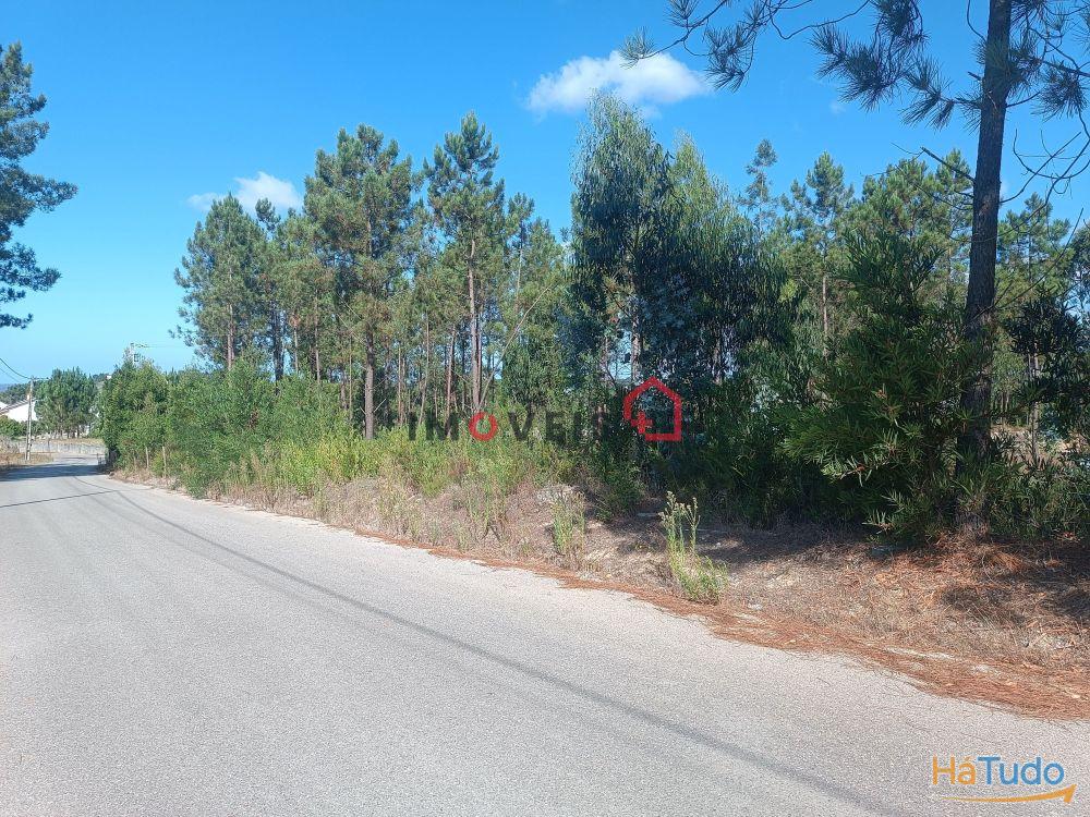 Terreno para construção | Lote com 1226m² | Janardo - Leiria Terreno para construção | Lote com 1226m² | Janardo - Leiria