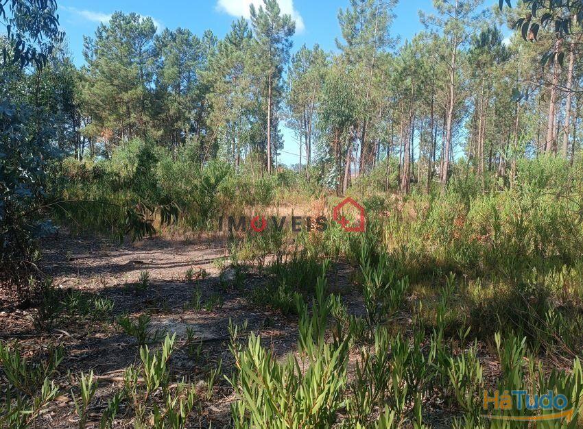 Terreno para construção | Lote com 1226m² | Janardo - Leiria Terreno para construção | Lote com 1226m² | Janardo - Leiria