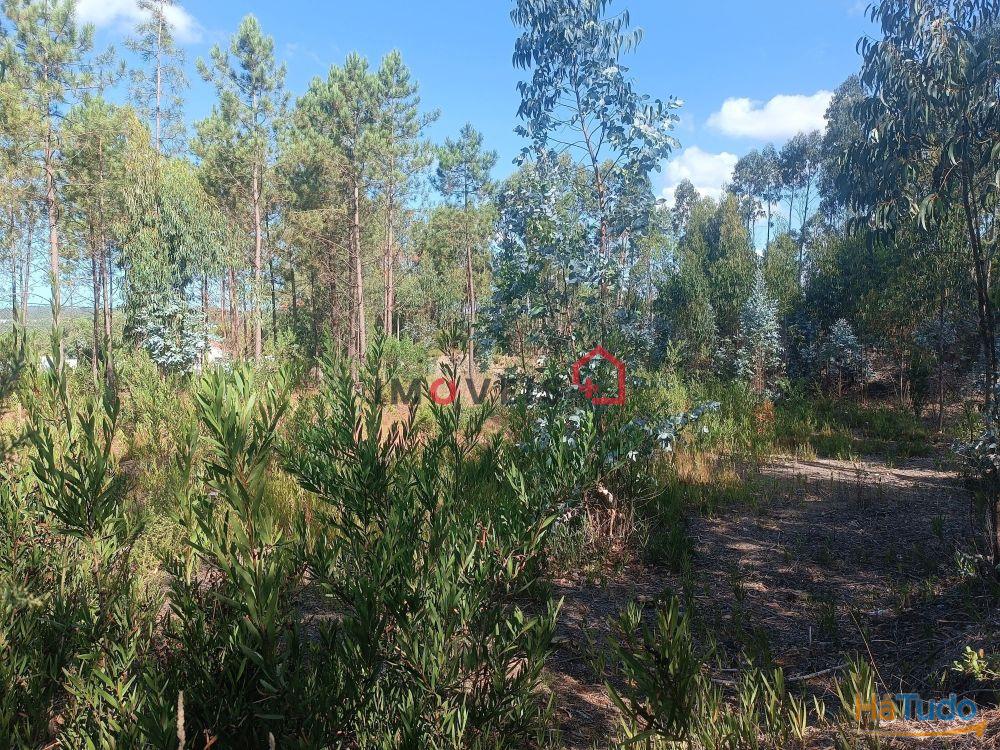 Terreno para construção | Lote com 1226m² | Janardo - Leiria Terreno para construção | Lote com 1226m² | Janardo - Leiria