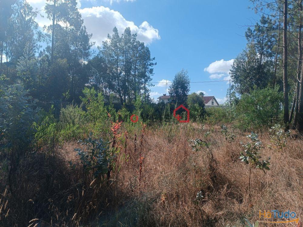 Terreno para construção | Lote com 1226m² | Janardo - Leiria Terreno para construção | Lote com 1226m² | Janardo - Leiria