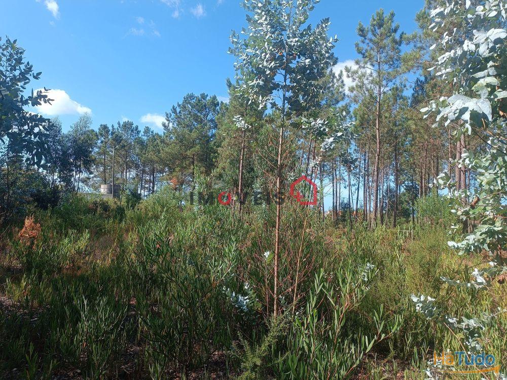 Terreno para construção | Lote com 1226m² | Janardo - Leiria Terreno para construção | Lote com 1226m² | Janardo - Leiria