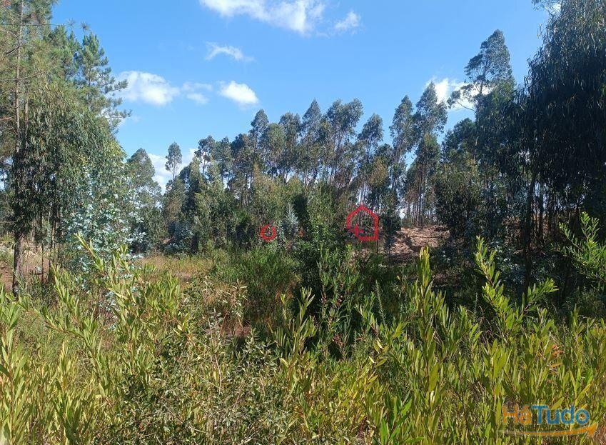 Terreno para construção | Lote com 1226m² | Janardo - Leiria Terreno para construção | Lote com 1226m² | Janardo - Leiria