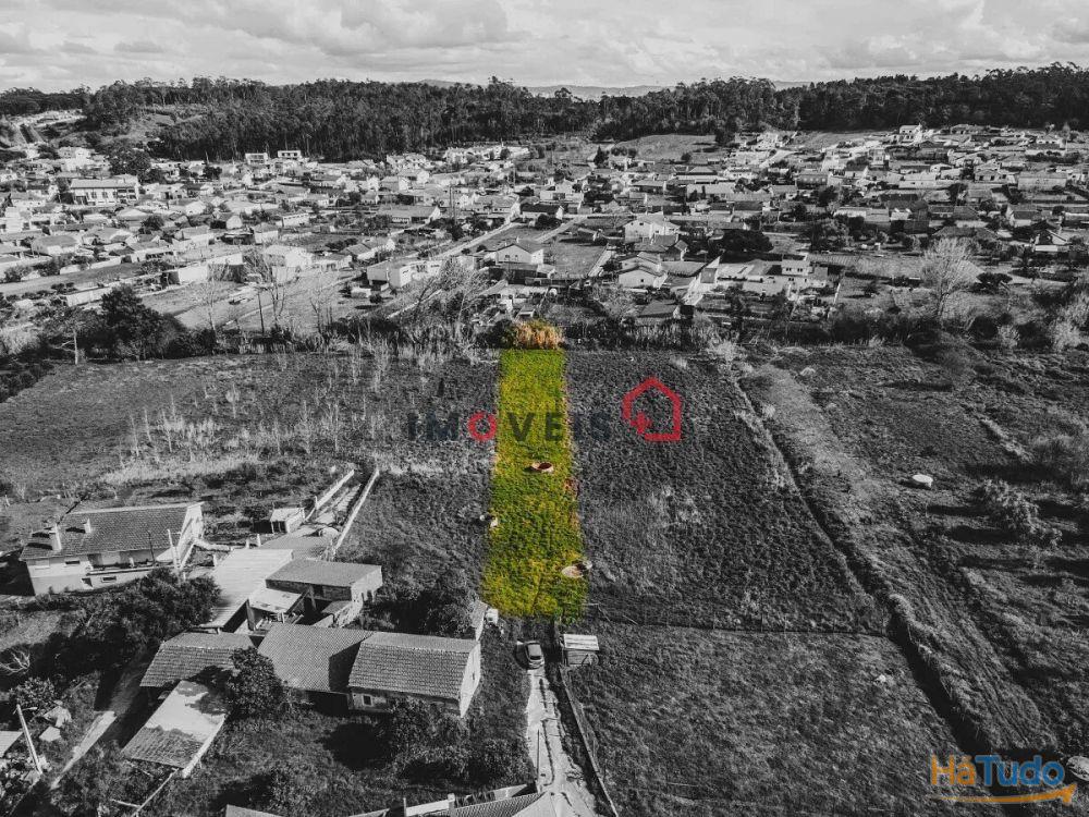 Terreno fértil e soalheiro - a 5 min. de Leiria Terreno fértil e soalheiro - a 5 min. de Leiria