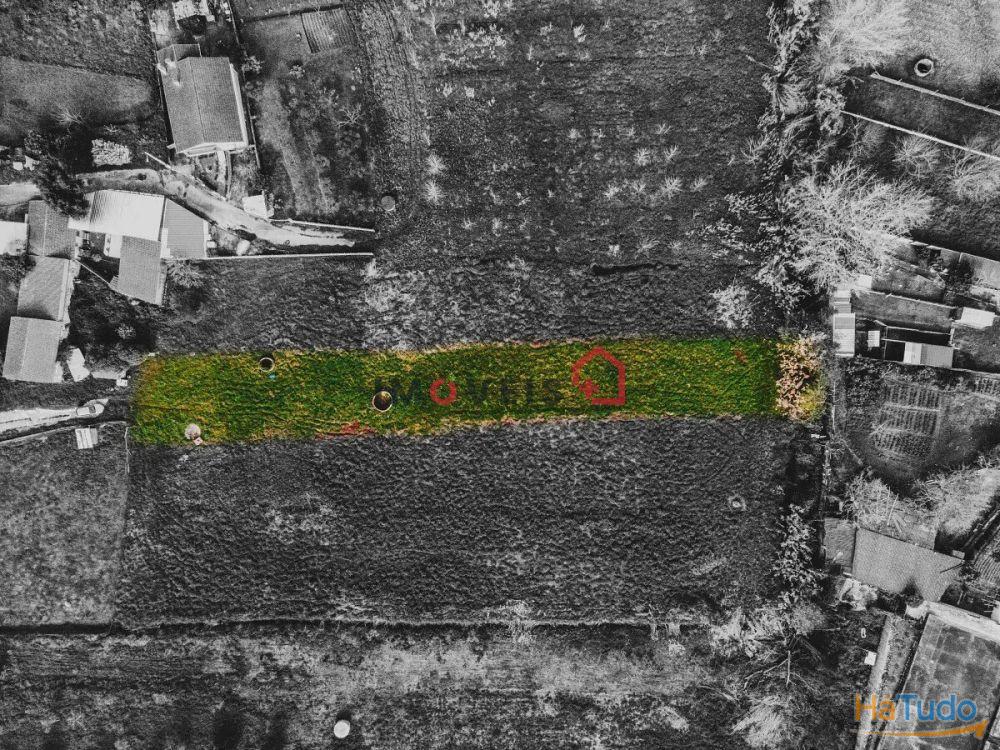 Terreno fértil e soalheiro - a 5 min. de Leiria Terreno fértil e soalheiro - a 5 min. de Leiria