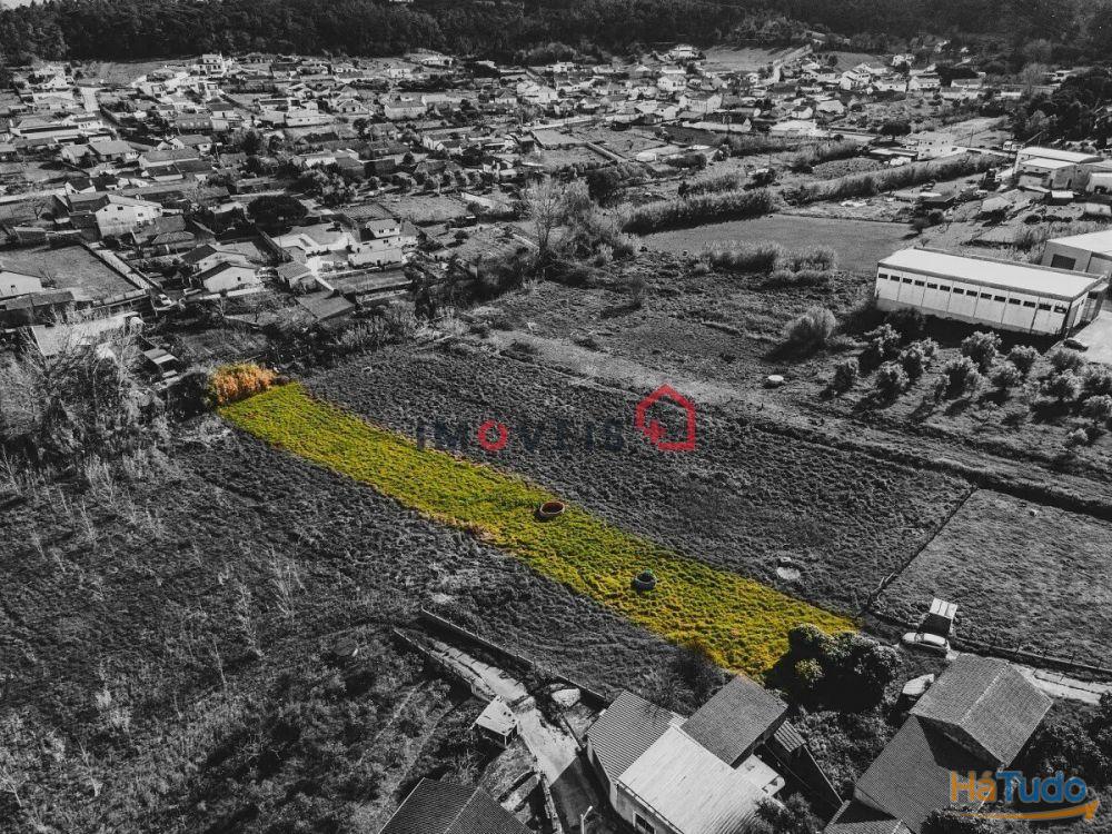 Terreno fértil e soalheiro - a 5 min. de Leiria Terreno fértil e soalheiro - a 5 min. de Leiria