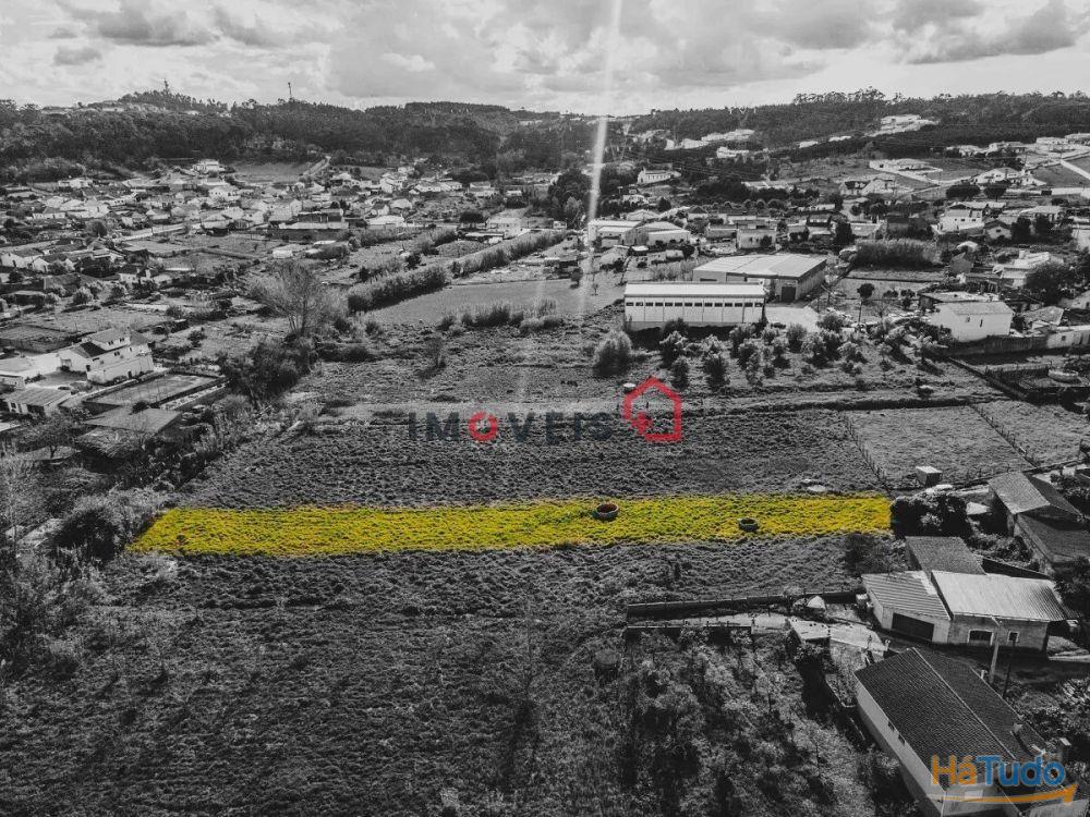 Terreno fértil e soalheiro - a 5 min. de Leiria Terreno fértil e soalheiro - a 5 min. de Leiria