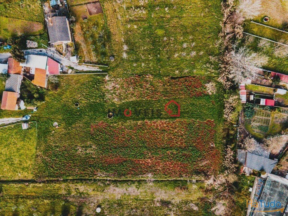 Terreno fértil e soalheiro - a 5 min. de Leiria Terreno fértil e soalheiro - a 5 min. de Leiria