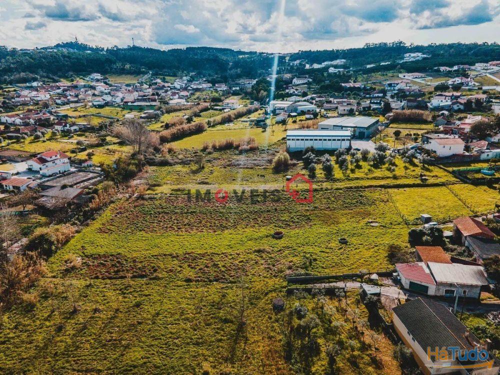 Terreno fértil e soalheiro - a 5 min. de Leiria Terreno fértil e soalheiro - a 5 min. de Leiria