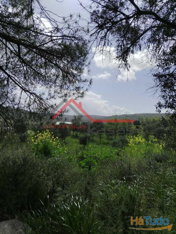 Quintinha Rural com vista rio Guadiana Beja Quintinha Rural com vista rio Guadiana Beja