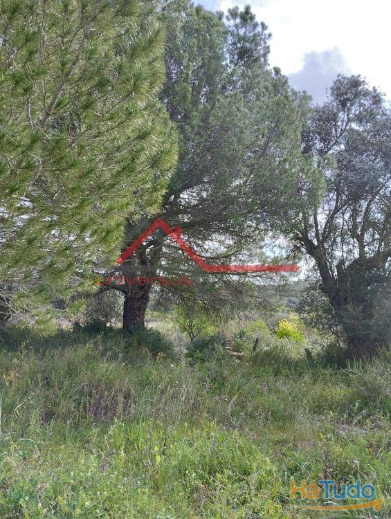 Quintinha Rural com vista rio Guadiana Beja Quintinha Rural com vista rio Guadiana Beja