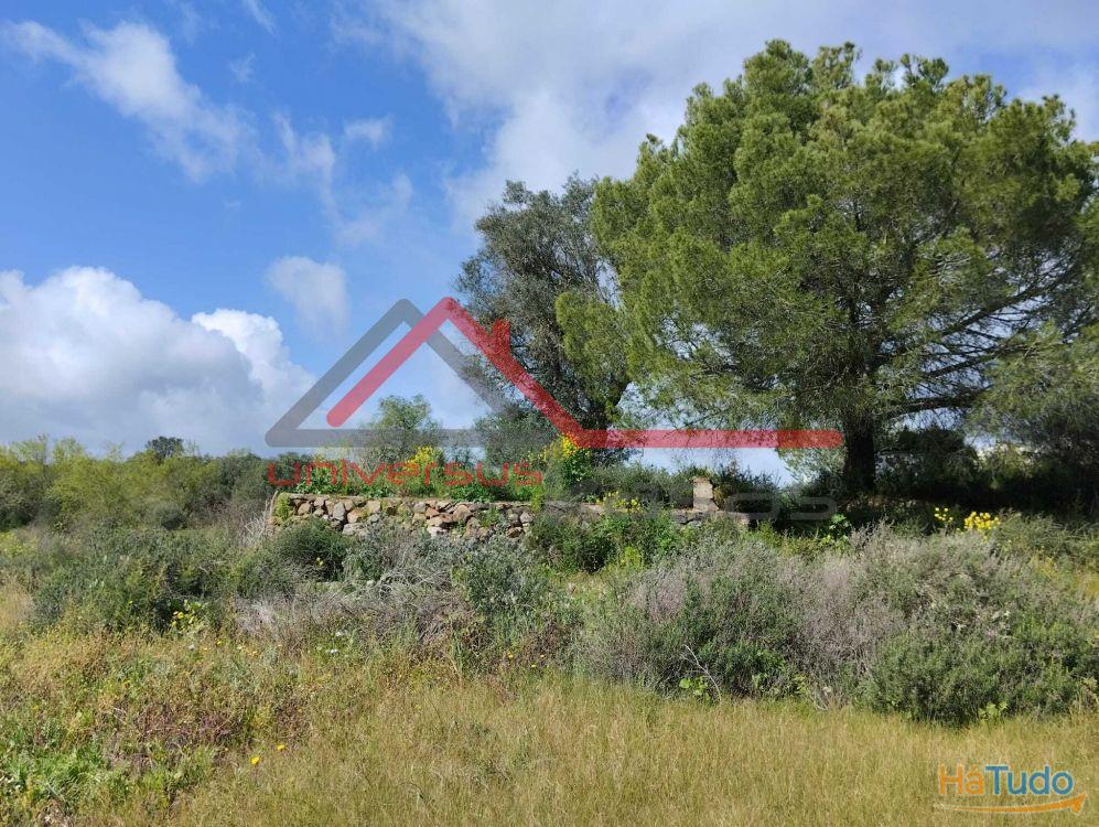 Quintinha Rural com vista rio Guadiana Beja Quintinha Rural com vista rio Guadiana Beja