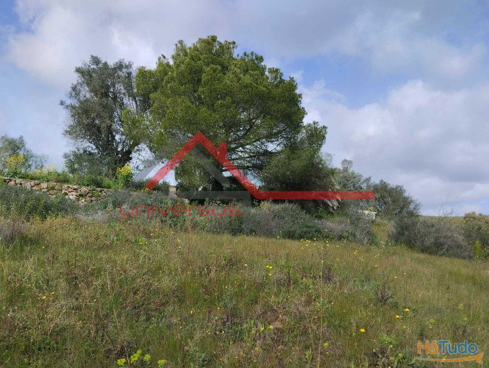 Quintinha Rural com vista rio Guadiana Beja Quintinha Rural com vista rio Guadiana Beja