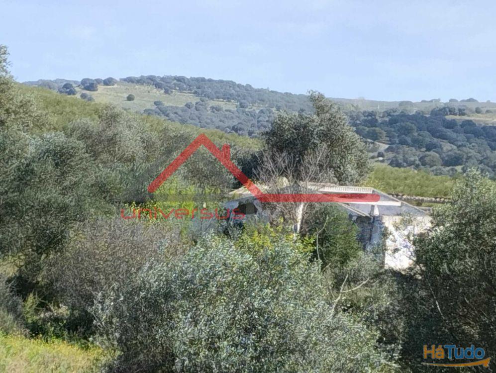 Quintinha Rural com vista rio Guadiana Beja Quintinha Rural com vista rio Guadiana Beja